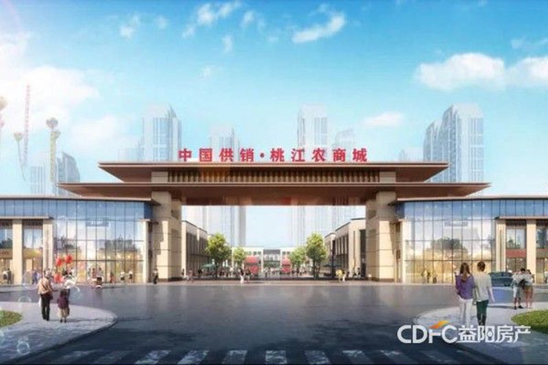 楚寒衣的小说：一场文字的盛宴
